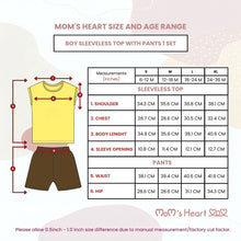 Load image into Gallery viewer, Baby Boy Yellow Owl Top &amp; Short (1 Set)
